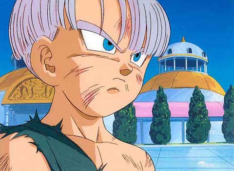 trunks257.jpg